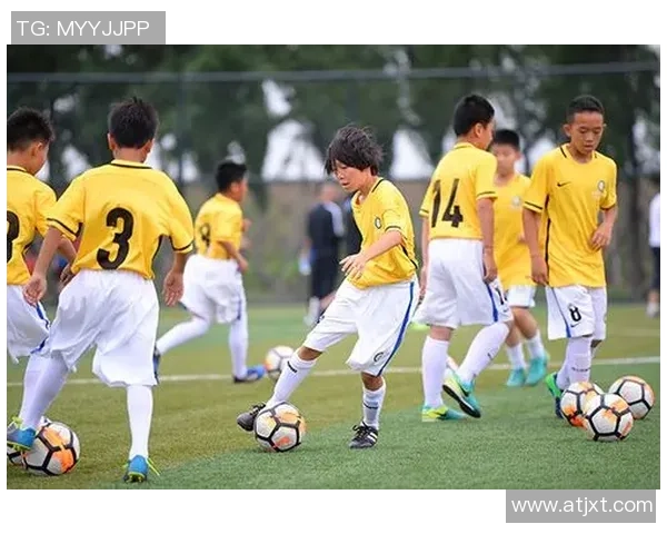 河南足球高中崛起之路探索青少年足球发展的新模式与挑战